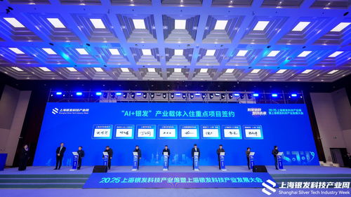 合力打造銀發(fā)科技產(chǎn)業(yè)“上海樣本”——2025上海銀發(fā)科技產(chǎn)業(yè)發(fā)展大會(huì)圓滿閉幕